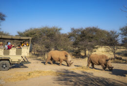 Namibia_August (44/135)